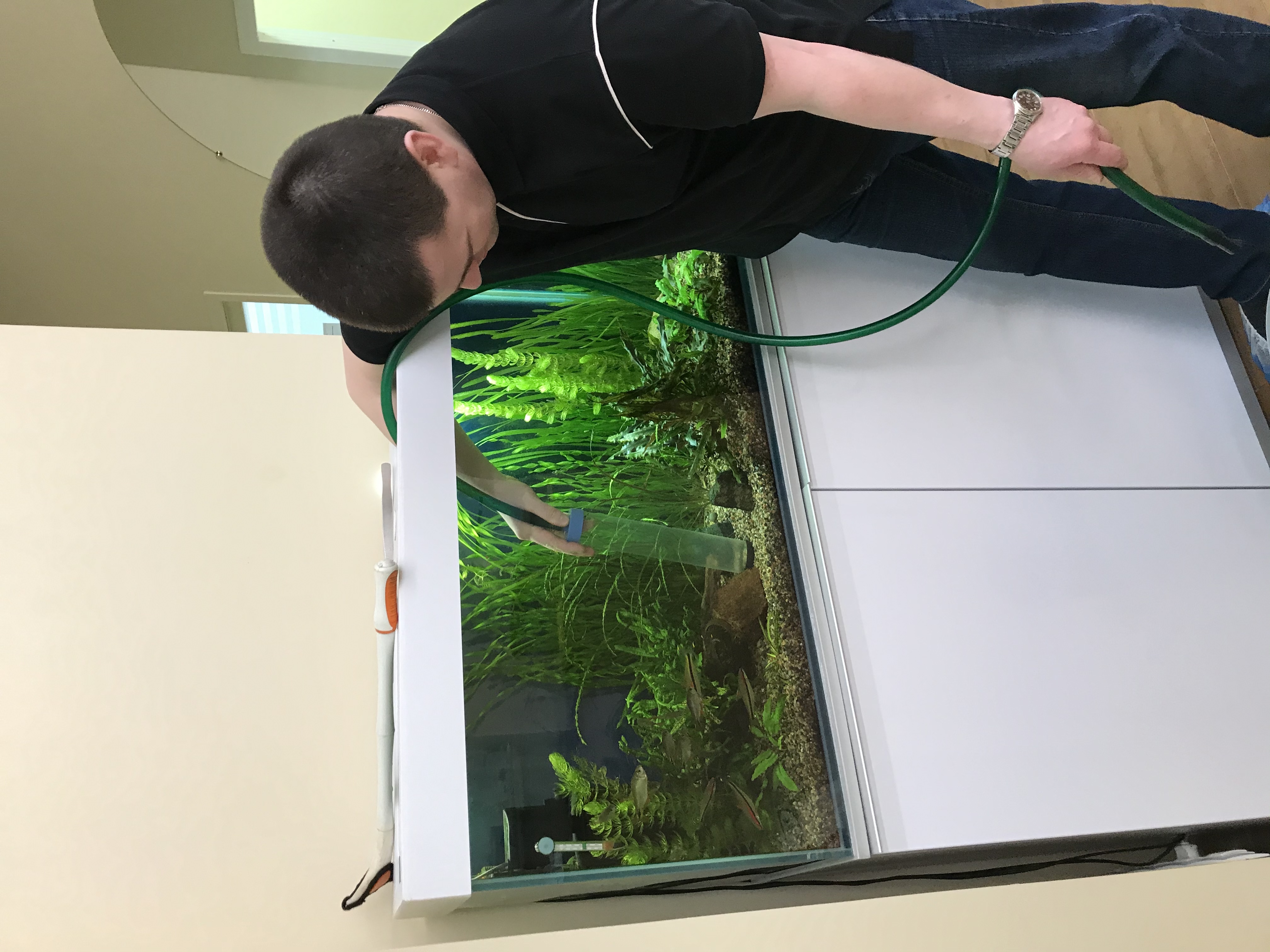 Обслуживание аквариума нашего клиента "Дент Мастер"